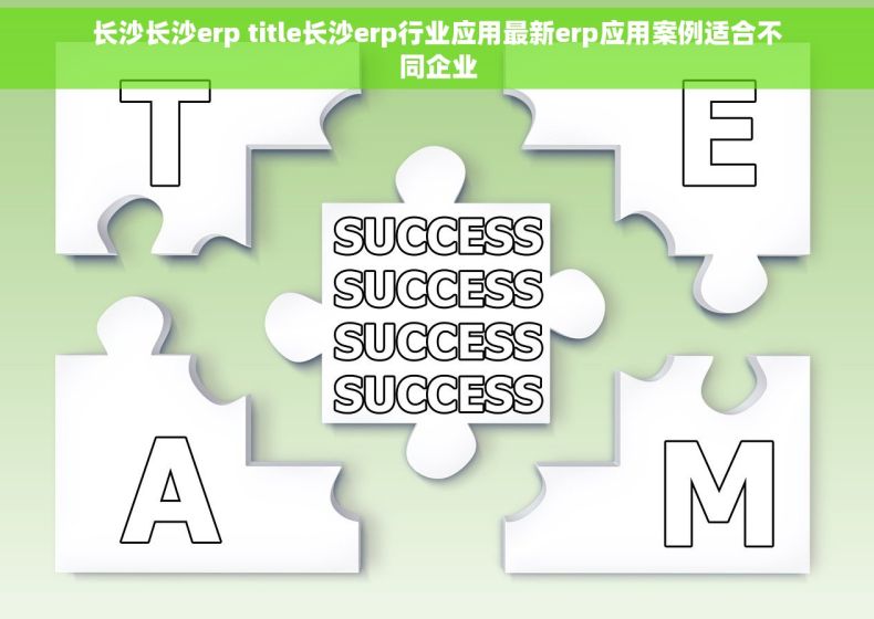 长沙长沙erp title长沙erp行业应用最新erp应用案例适合不同企业