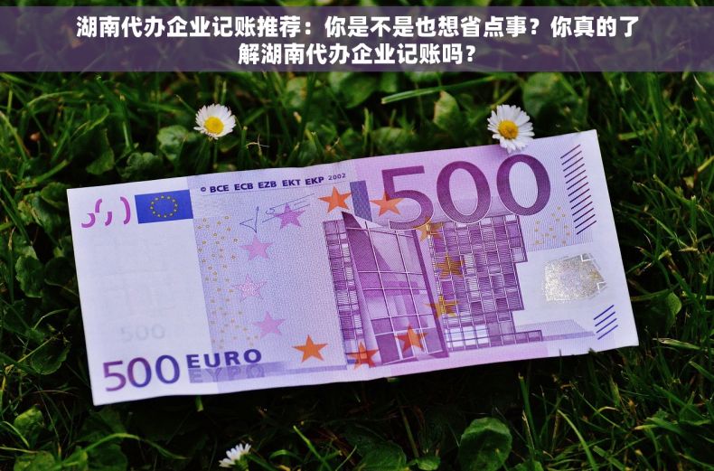 湖南代办企业记账推荐：你是不是也想省点事？你真的了解湖南代办企业记账吗？