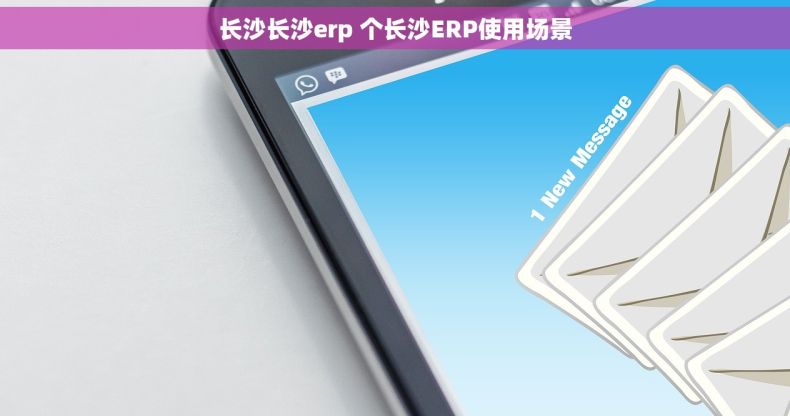 长沙长沙erp 个长沙ERP使用场景