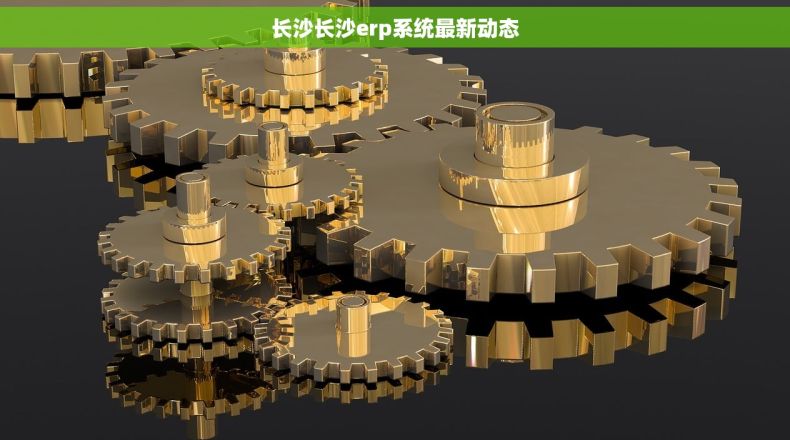 长沙长沙erp系统最新动态