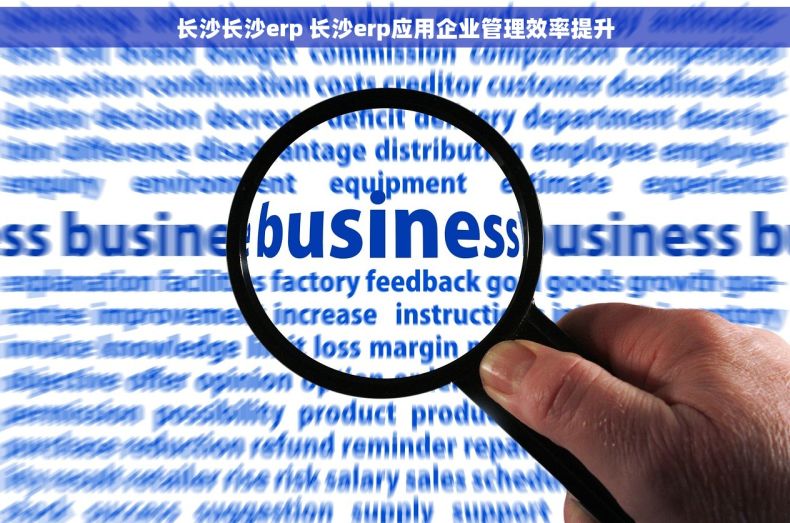 长沙长沙erp 长沙erp应用企业管理效率提升