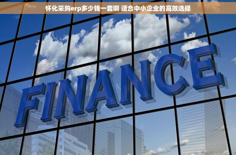 怀化采购erp多少钱一套啊 适合中小企业的高效选择