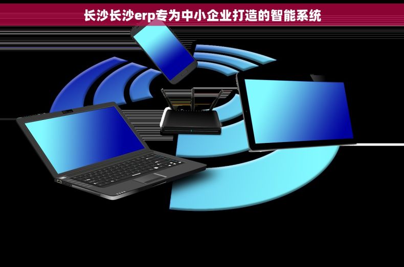 长沙长沙erp专为中小企业打造的智能系统