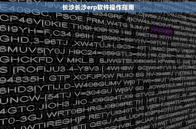 长沙长沙erp软件操作指南