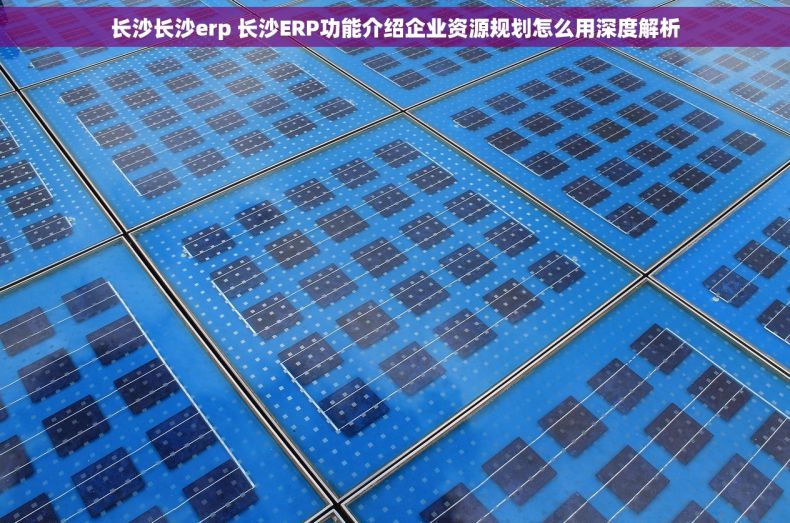 长沙长沙erp 长沙ERP功能介绍企业资源规划怎么用深度解析