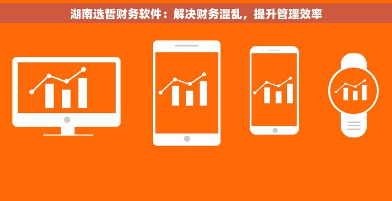 湖南选哲财务软件：解决财务混乱，提升管理效率
