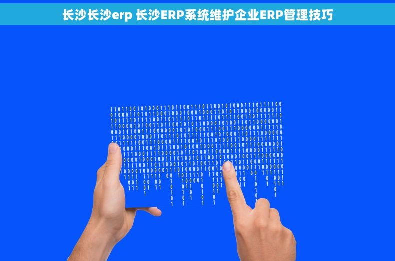 长沙长沙erp 长沙ERP系统维护企业ERP管理技巧