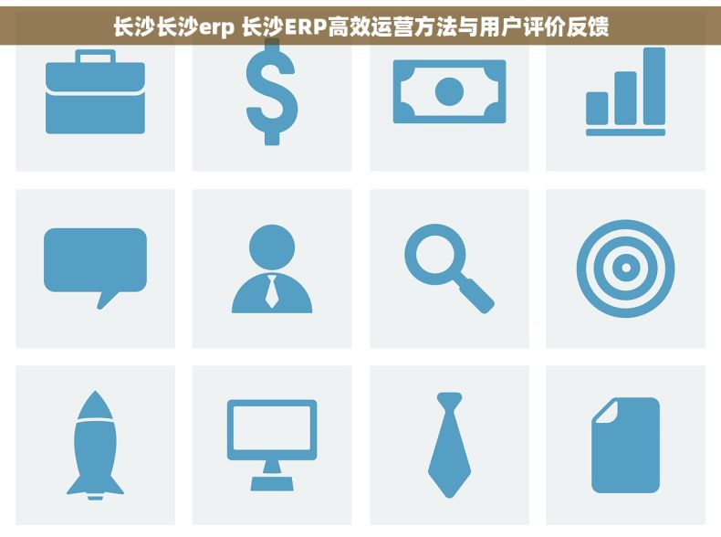 长沙长沙erp 长沙ERP高效运营方法与用户评价反馈