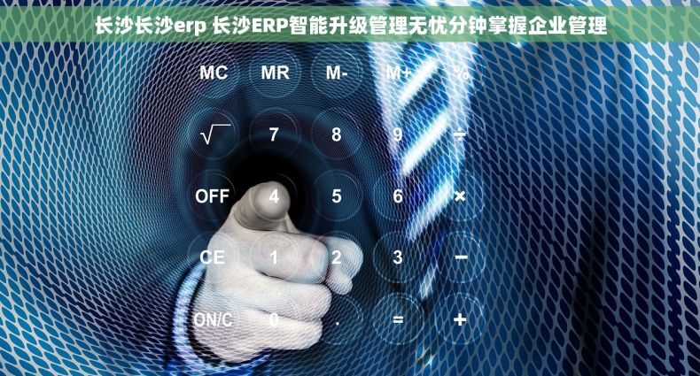 长沙长沙erp 长沙ERP智能升级管理无忧分钟掌握企业管理
