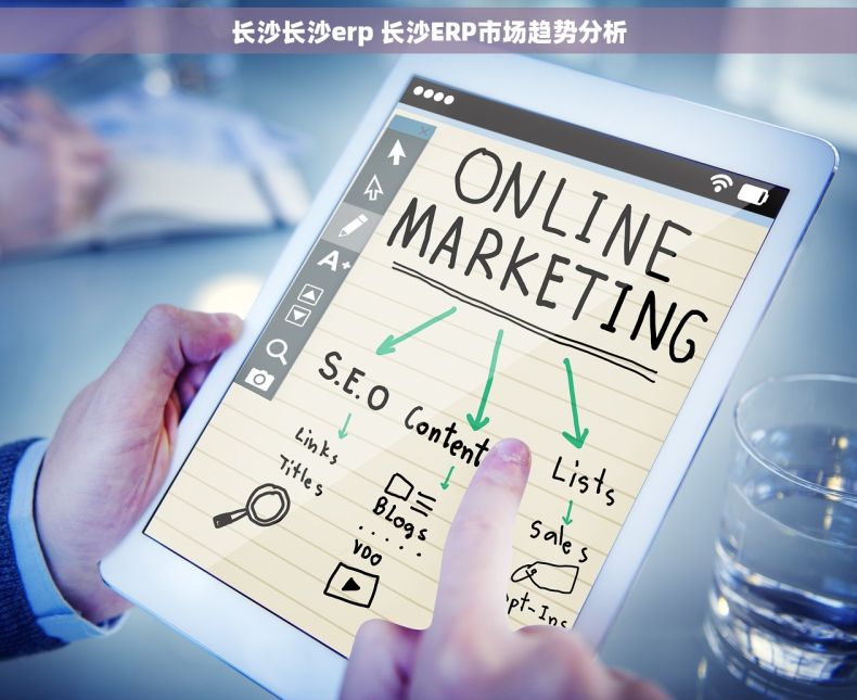 长沙长沙erp 长沙ERP市场趋势分析