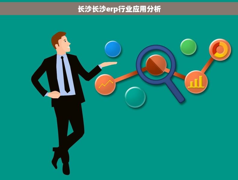 长沙长沙erp行业应用分析