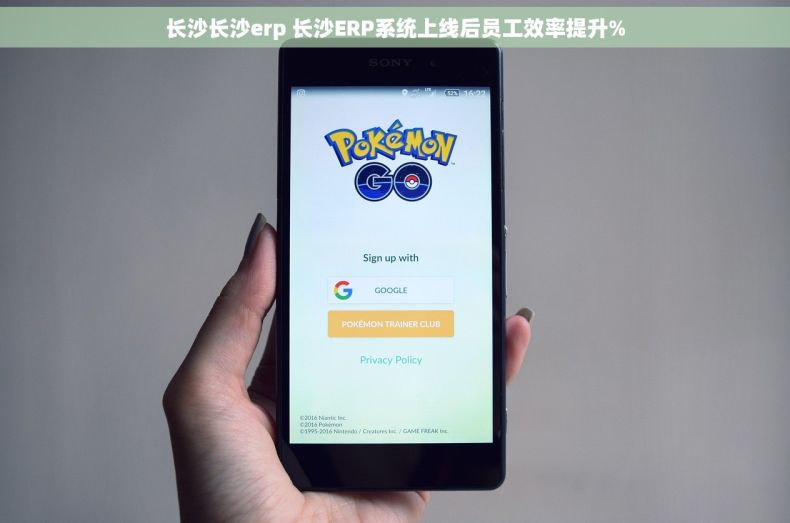 长沙长沙erp 长沙ERP系统上线后员工效率提升%