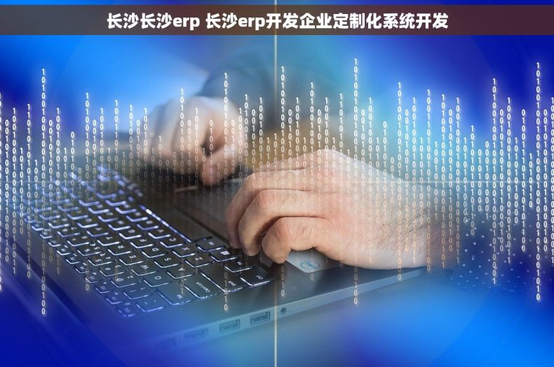长沙长沙erp 长沙erp开发企业定制化系统开发