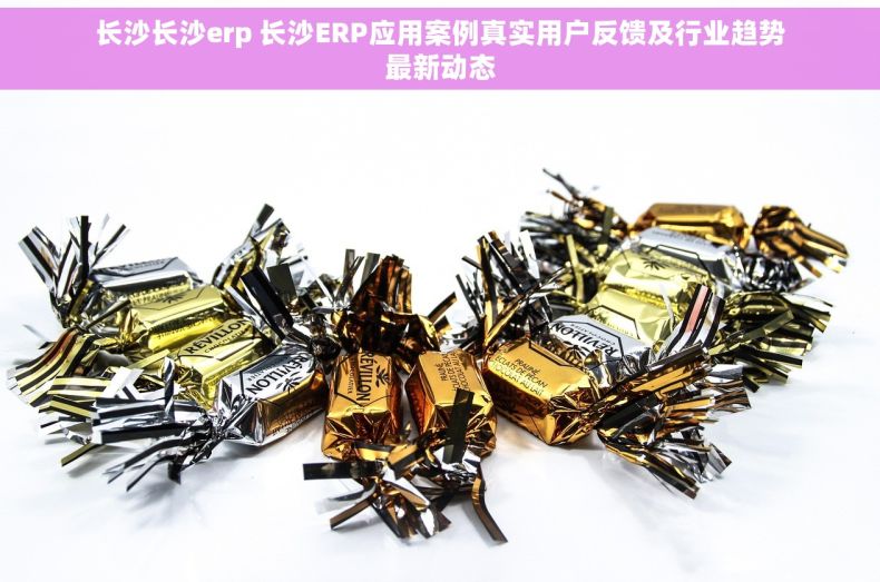 长沙长沙erp 长沙ERP应用案例真实用户反馈及行业趋势最新动态