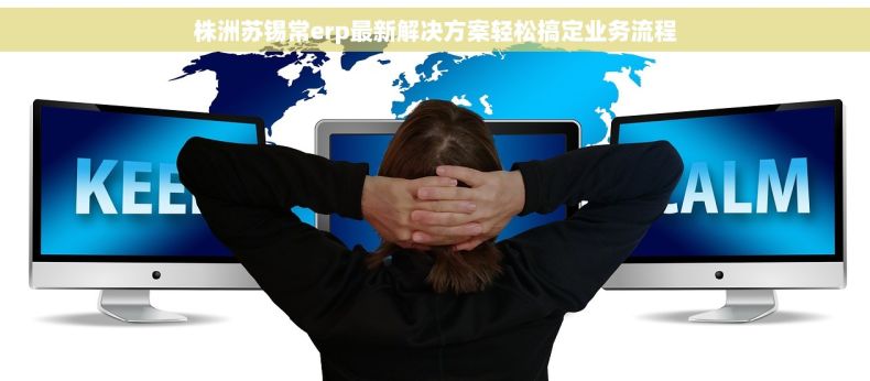 株洲苏锡常erp最新解决方案轻松搞定业务流程