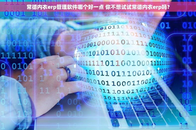 常德内衣erp管理软件哪个好一点 你不想试试常德内衣erp吗？