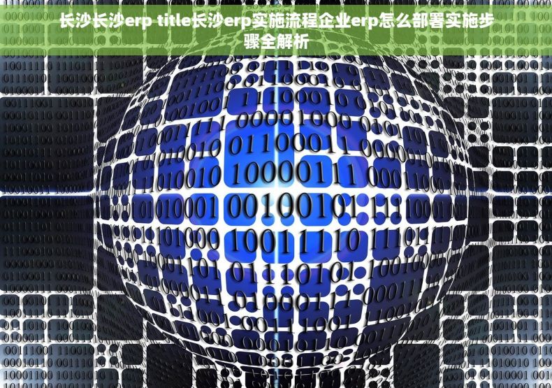 长沙长沙erp title长沙erp实施流程企业erp怎么部署实施步骤全解析