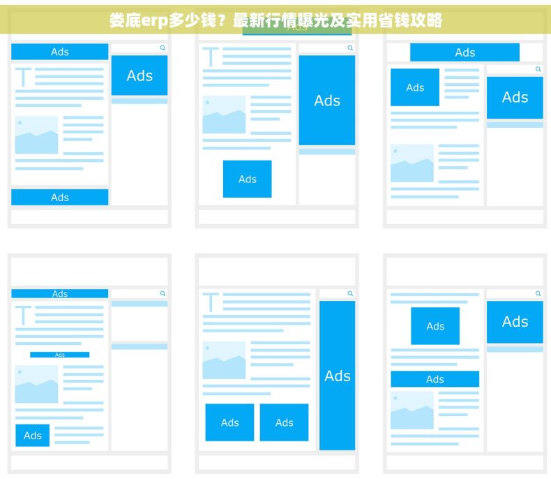 娄底erp多少钱？最新行情曝光及实用省钱攻略