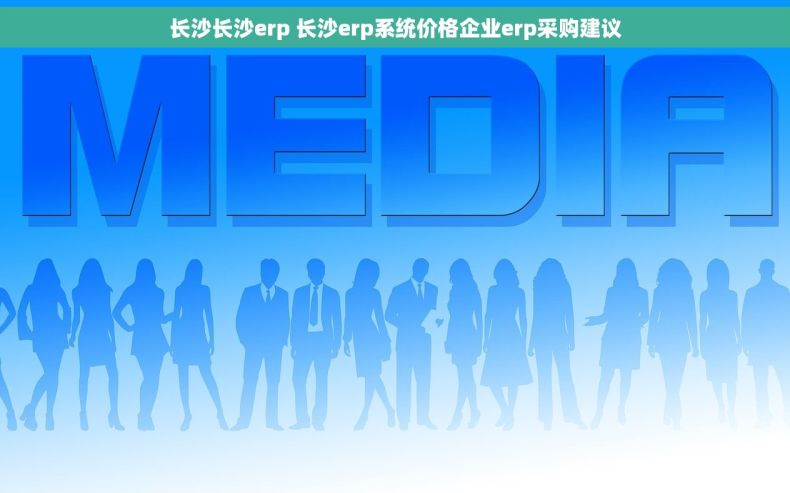 长沙长沙erp 长沙erp系统价格企业erp采购建议
