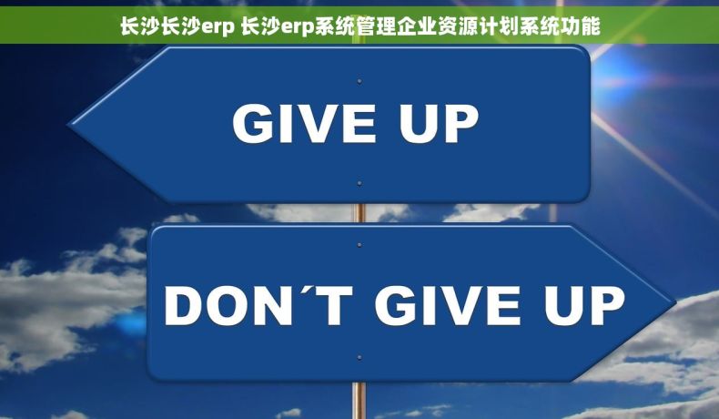 长沙长沙erp 长沙erp系统管理企业资源计划系统功能