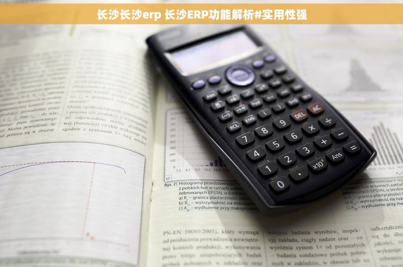 长沙长沙erp 长沙ERP功能解析#实用性强