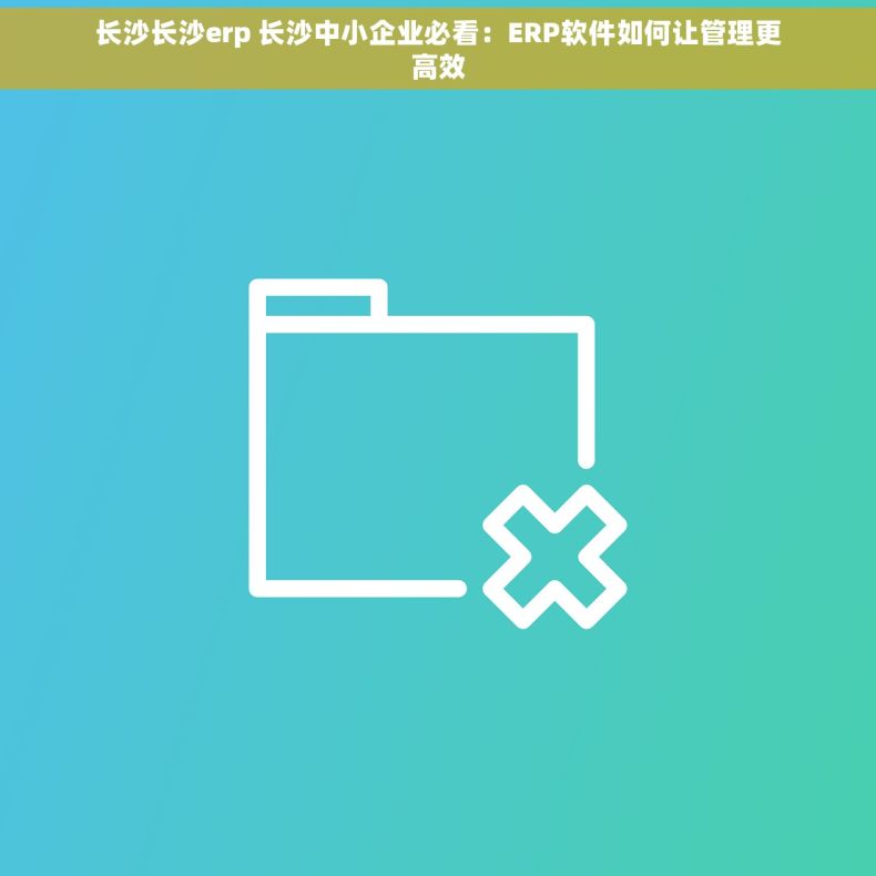 长沙长沙erp 长沙中小企业必看：ERP软件如何让管理更高效
