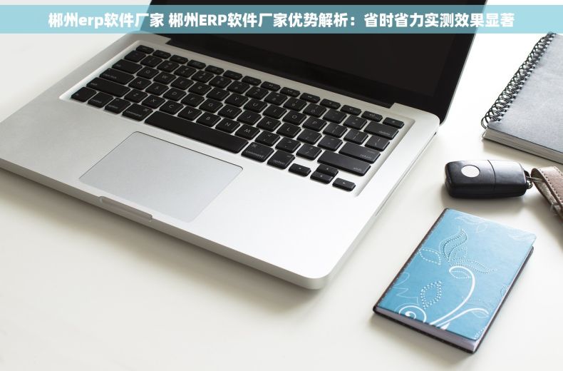 郴州erp软件厂家 郴州ERP软件厂家优势解析：省时省力实测效果显著