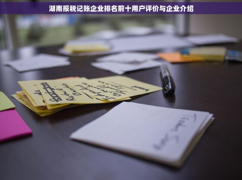湖南报税记账企业排名前十用户评价与企业介绍