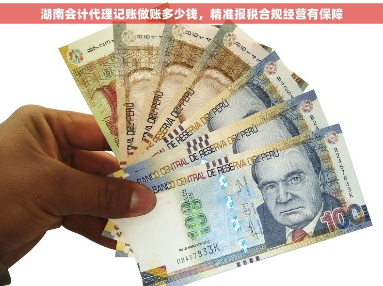 湖南会计代理记账做账多少钱，精准报税合规经营有保障