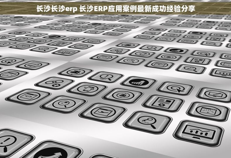 长沙长沙erp 长沙ERP应用案例最新成功经验分享