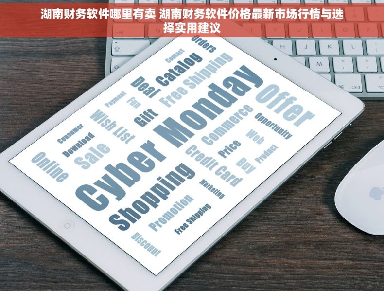 湖南财务软件哪里有卖 湖南财务软件价格最新市场行情与选择实用建议