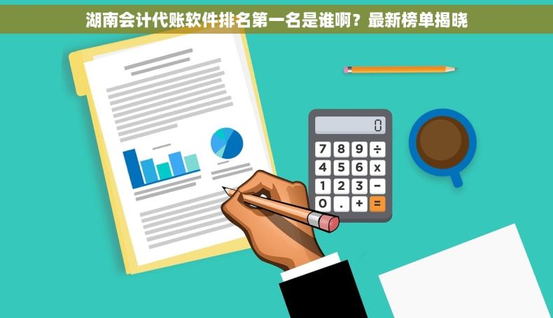 湖南会计代账软件排名第一名是谁啊？最新榜单揭晓