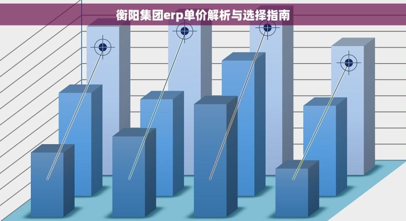 衡阳集团erp单价解析与选择指南