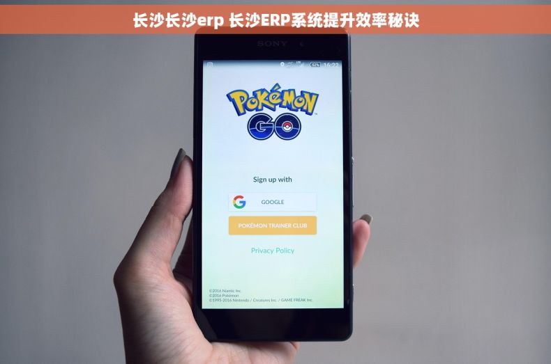 长沙长沙erp 长沙ERP系统提升效率秘诀