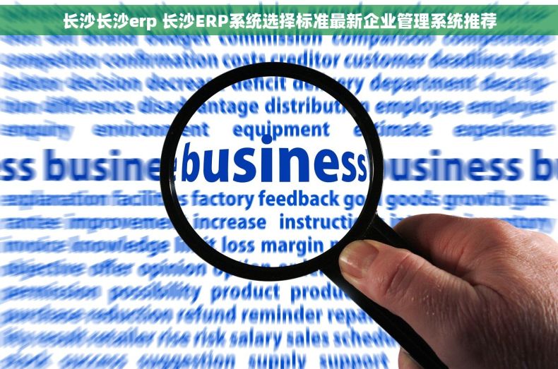 长沙长沙erp 长沙ERP系统选择标准最新企业管理系统推荐