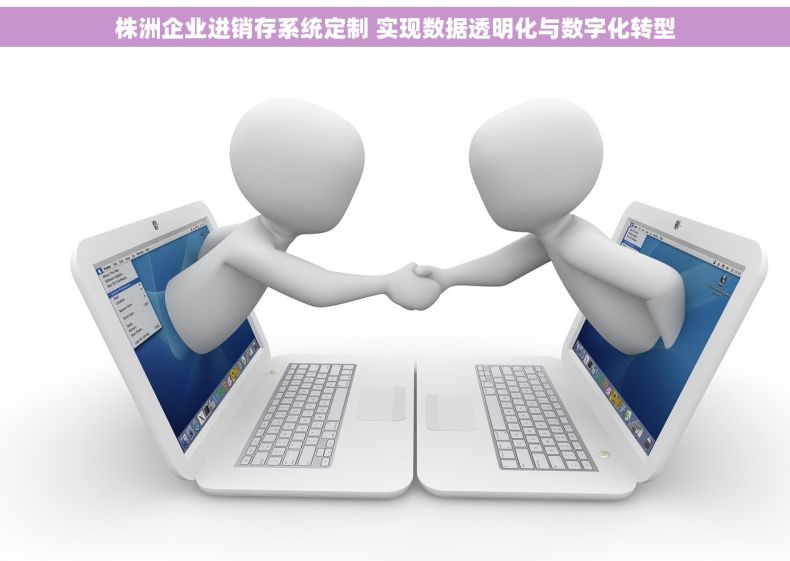 株洲企业进销存系统定制 实现数据透明化与数字化转型