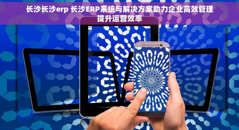 长沙长沙erp 长沙ERP系统与解决方案助力企业高效管理提升运营效率