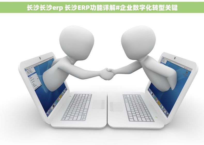 长沙长沙erp 长沙ERP功能详解#企业数字化转型关键