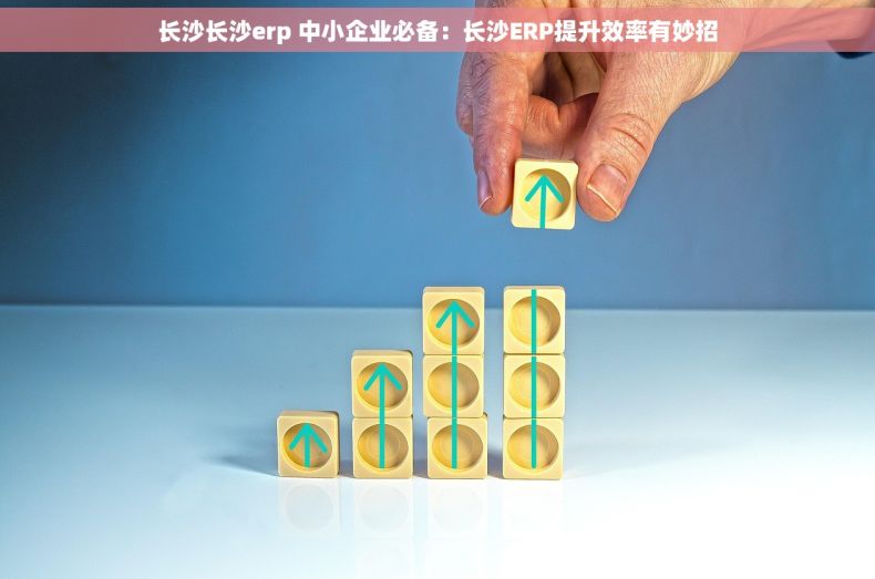 长沙长沙erp 中小企业必备：长沙ERP提升效率有妙招