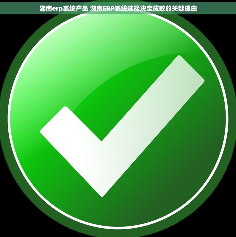 湖南erp系统产品 湖南ERP系统选择决定成败的关键理由