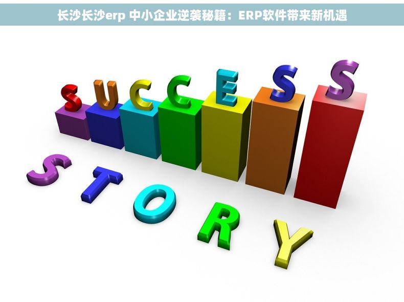 长沙长沙erp 中小企业逆袭秘籍：ERP软件带来新机遇