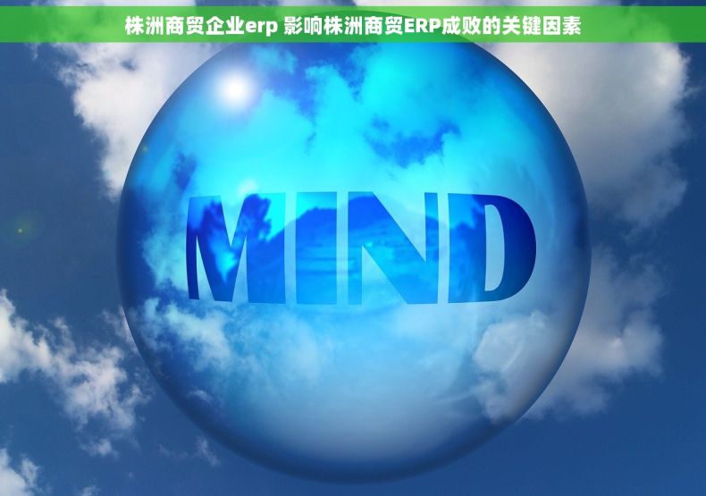 株洲商贸企业erp 影响株洲商贸ERP成败的关键因素