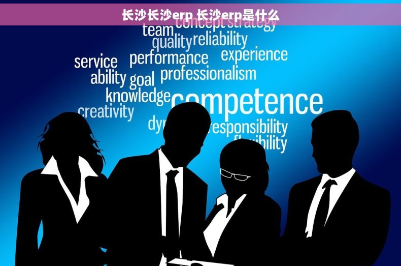 长沙长沙erp 长沙erp是什么