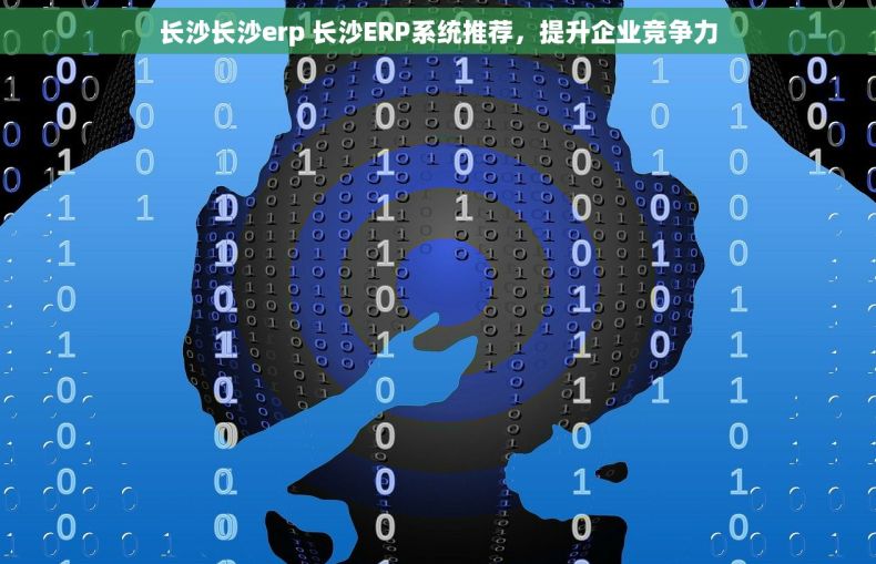 长沙长沙erp 长沙ERP系统推荐，提升企业竞争力