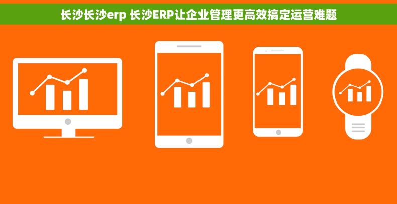 长沙长沙erp 长沙ERP让企业管理更高效搞定运营难题