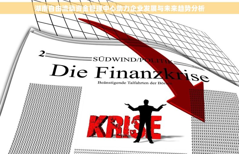 湖南自由流动资金管理中心助力企业发展与未来趋势分析