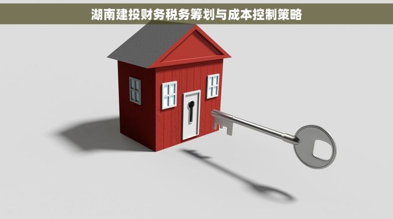 湖南建投财务税务筹划与成本控制策略