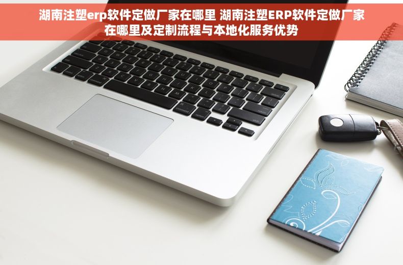 湖南注塑erp软件定做厂家在哪里 湖南注塑ERP软件定做厂家在哪里及定制流程与本地化服务优势