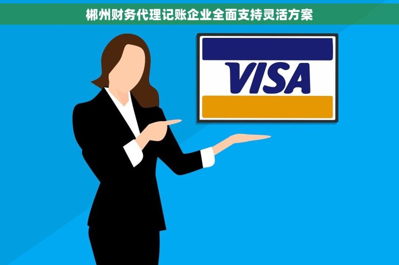 郴州财务代理记账企业全面支持灵活方案
