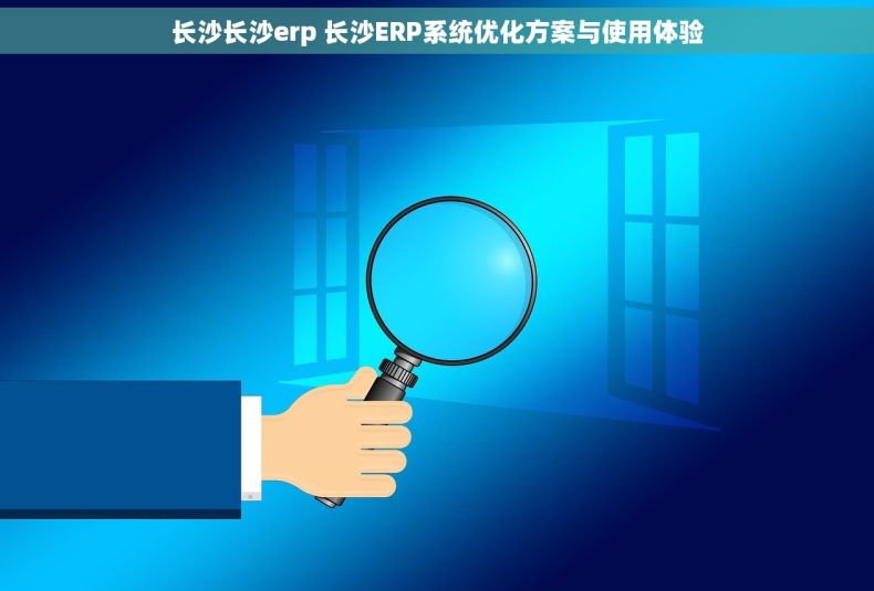 长沙长沙erp 长沙ERP系统优化方案与使用体验
